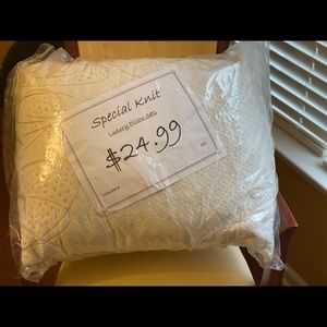 Standard size pillow!